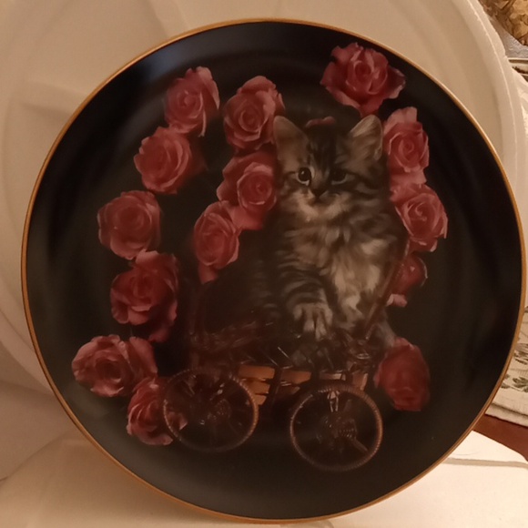 Danbury Mint Plate Collection "Coming Up Roses" 8Plates - Picture 11 of 16